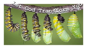 Let God Transform You