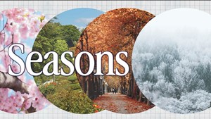 Seasons
